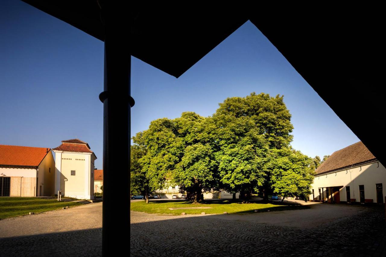 Penzion Pansky Dvur Telč Exterior foto